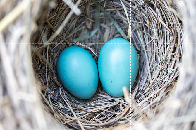Eggs-Center-Placement