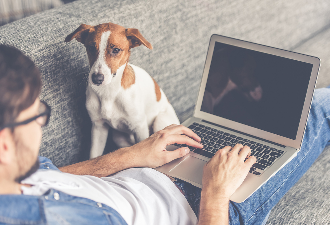 在宅勤務をする男性と犬