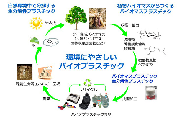 レジ袋有料化って効果ある? 専門家の答えと、次世代「生分解性バイオマスプラスチック」とは