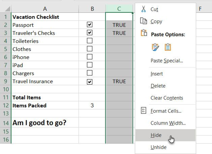 Checklist11