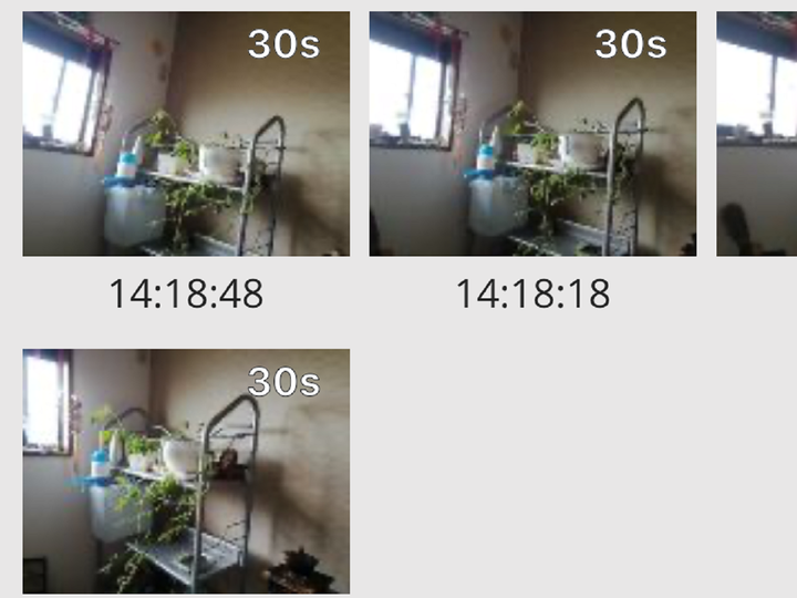 AlfredCamera-4