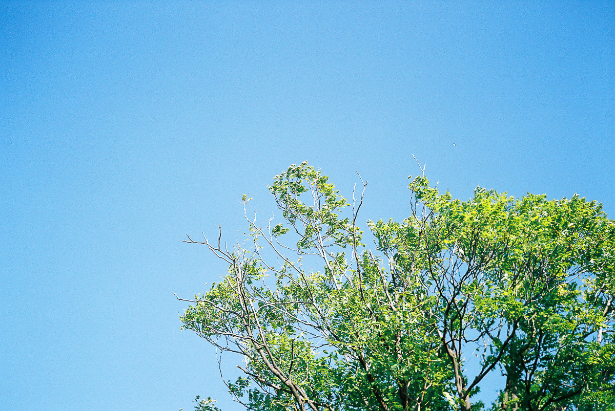 FH010023