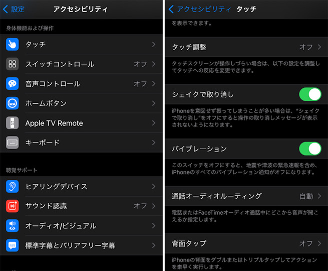 iphone210111_2