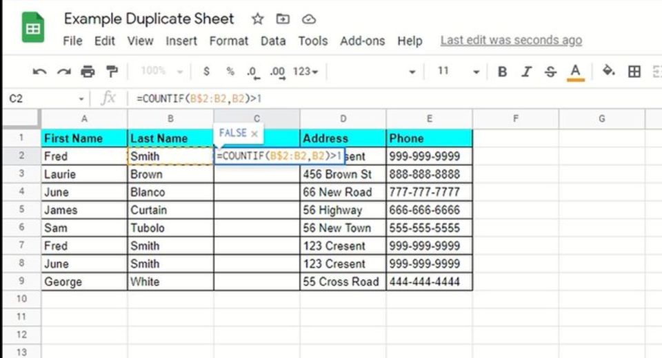 20200212-duplicates08