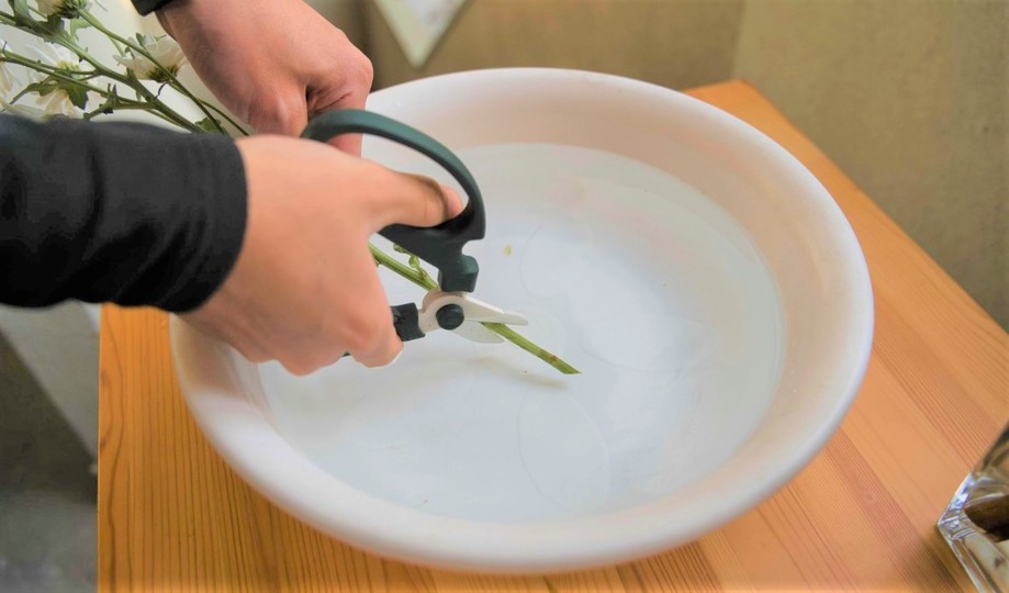 切り花を長持ちさせるには? 飾る前にやりたい2つのこと