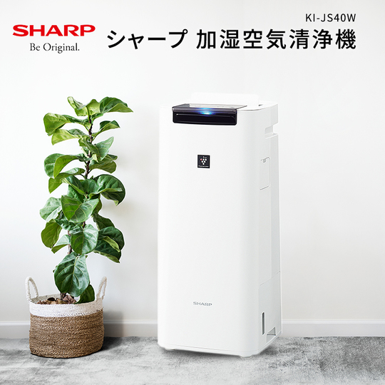 【楽天セール】最大50%ポイント還元!30%ポイント還元のシャープの加湿空気清浄機や1本約22円・40本入りの乳酸菌飲料などがお買い得に