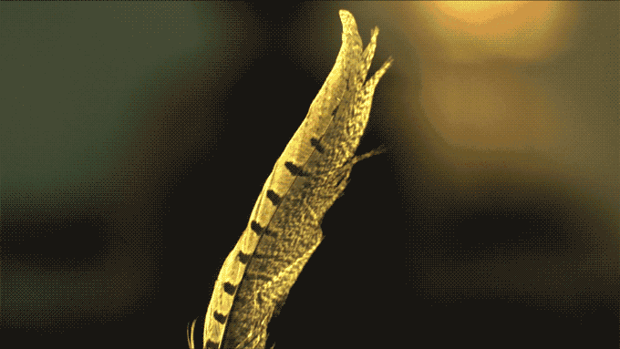 Modes_01_slow_dance