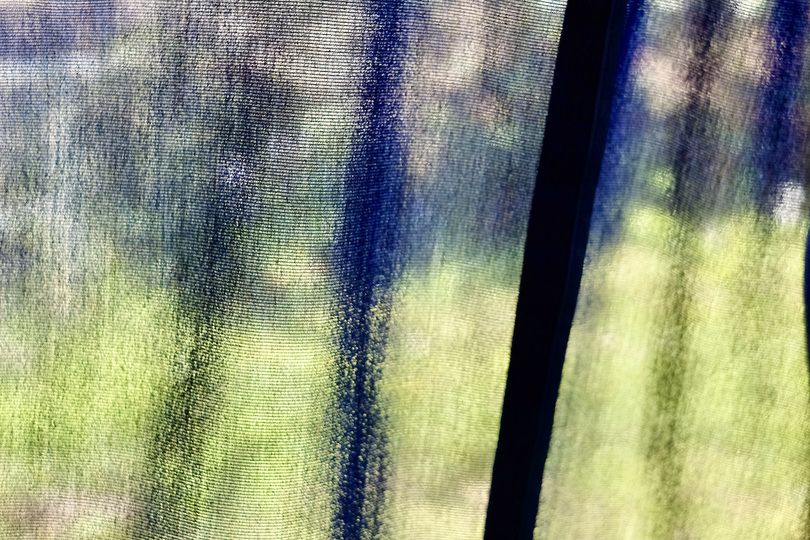 DSCF5157