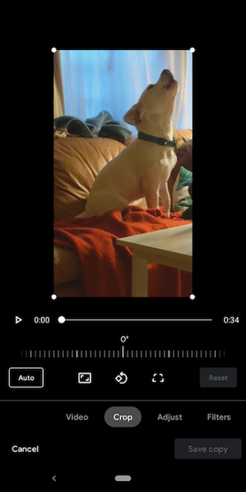 GooglePhoto2