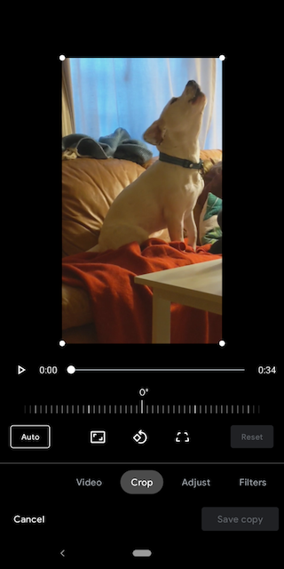 GooglePhoto2