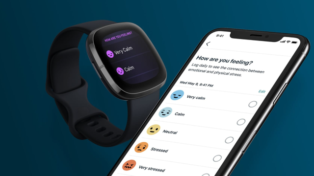 運動や食事記録だけじゃない。Fitbitでストレス管理も！