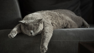 時間に追われている人へ。「時間不安」を和らげる5つの方法