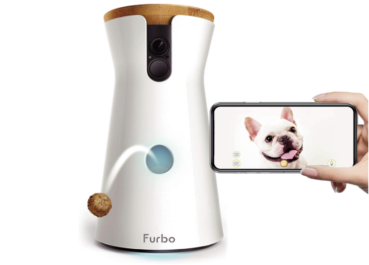 【Amazonタイムセール中!】31%オフのドッグカメラ・Furboやセール特価で1,824円のトレーニングチューブ5本セットなど
