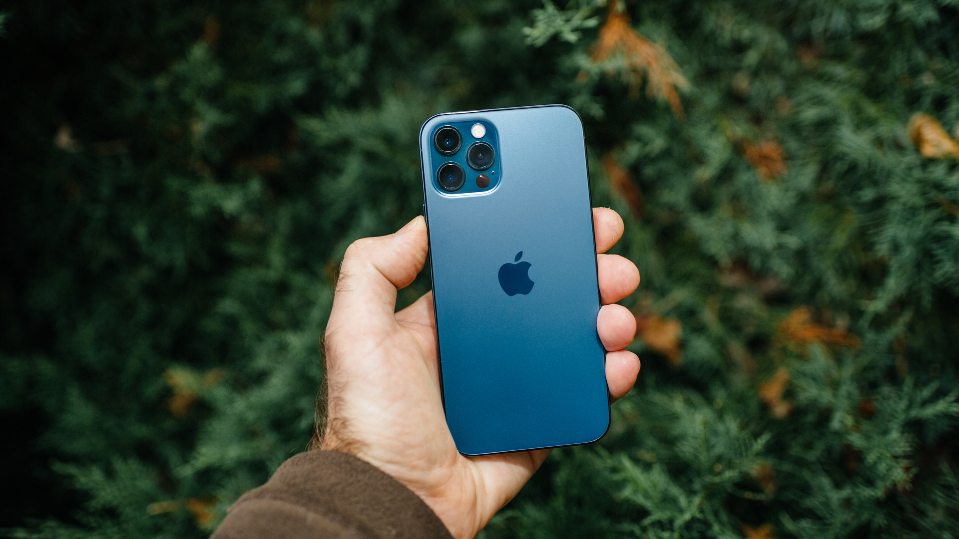 Iphone 12 Proの新カメラ機能 Proraw とは ライフハッカー 日本版