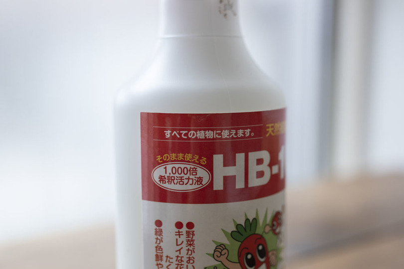 HN9A9216