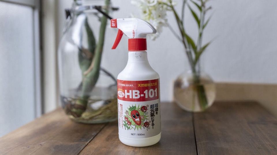 花も観葉植物も手軽に長持ち すべての植物に使える 活力剤 ライフハッカー 日本版