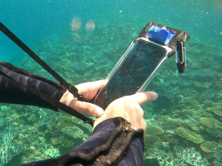 安心の防水性能! 水中撮影やタッチ操作が可能なスマホポーチを試してみた