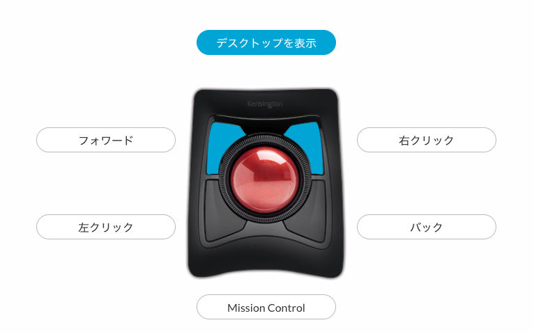 スクリーンショット2021-06-077.03.37