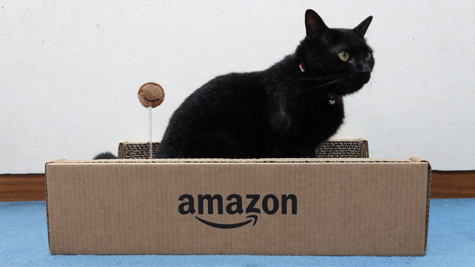 ネコまっしぐら! Amazon印の爪とぎはコスパ良好で最高のオモチャかも