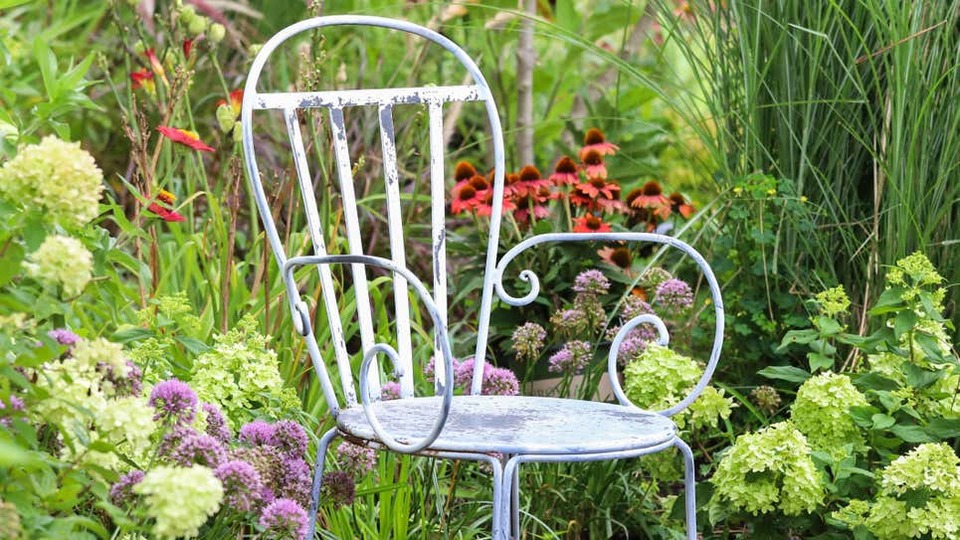 庭に在来植物を植えるメリット