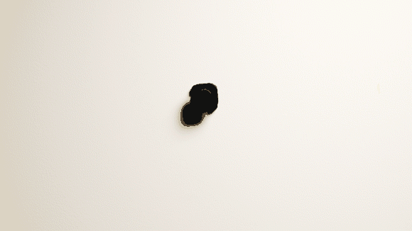 LockGo(1)