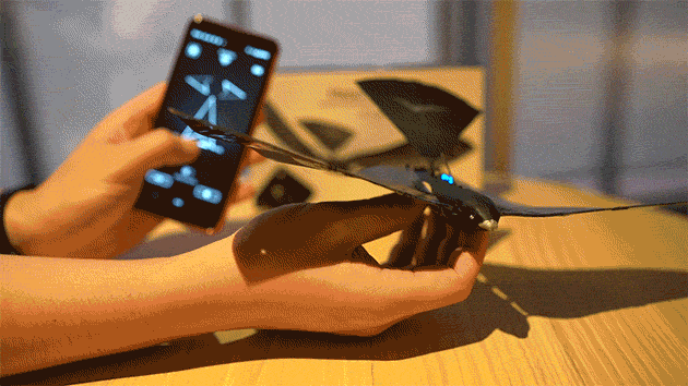 操れると面白い! 本物そっくりに飛ばせる鳥ラジコン「MetaBird」で遊んでみた