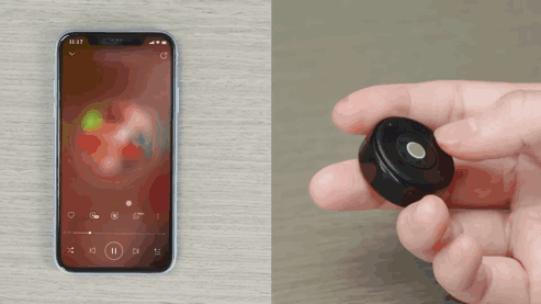 proLabmouse10