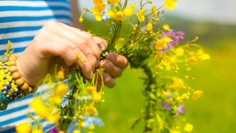 庭の草花を使ってインテリアを充実させる方法