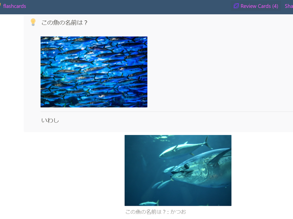 zorbi(14)