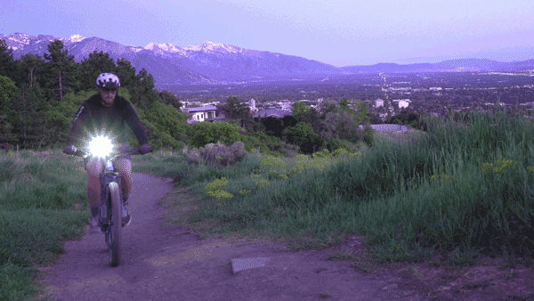 Bile_GIF04