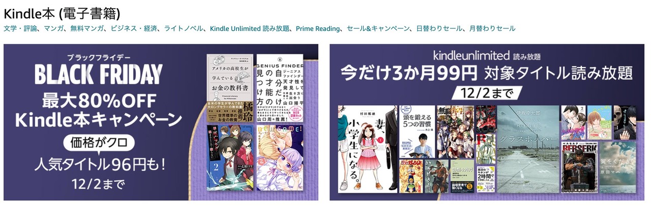 ブラックフライデー