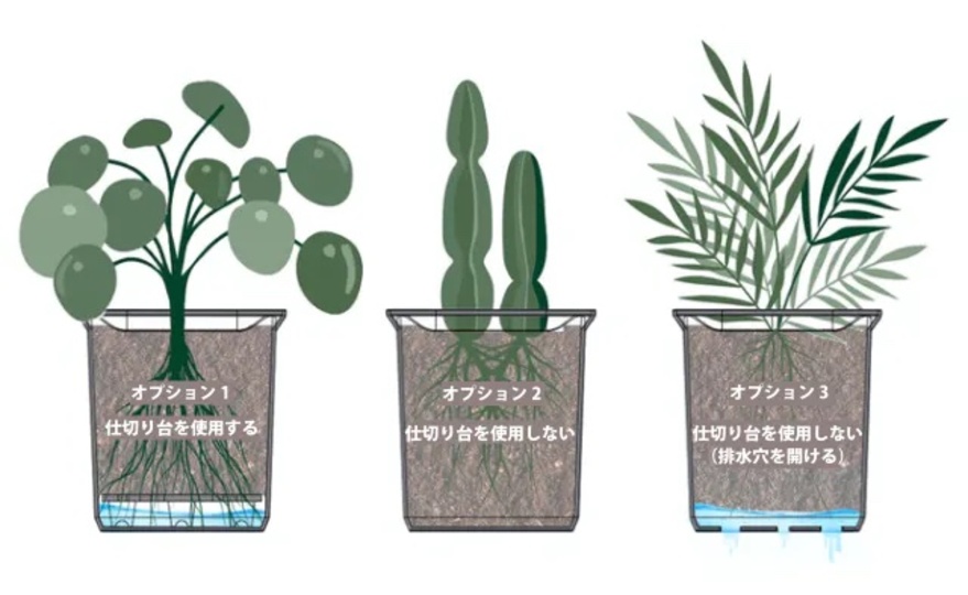 plant1up_6