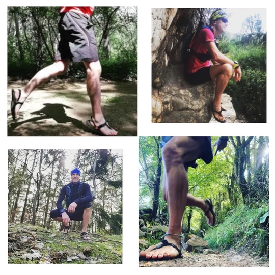 Pirineos_2
