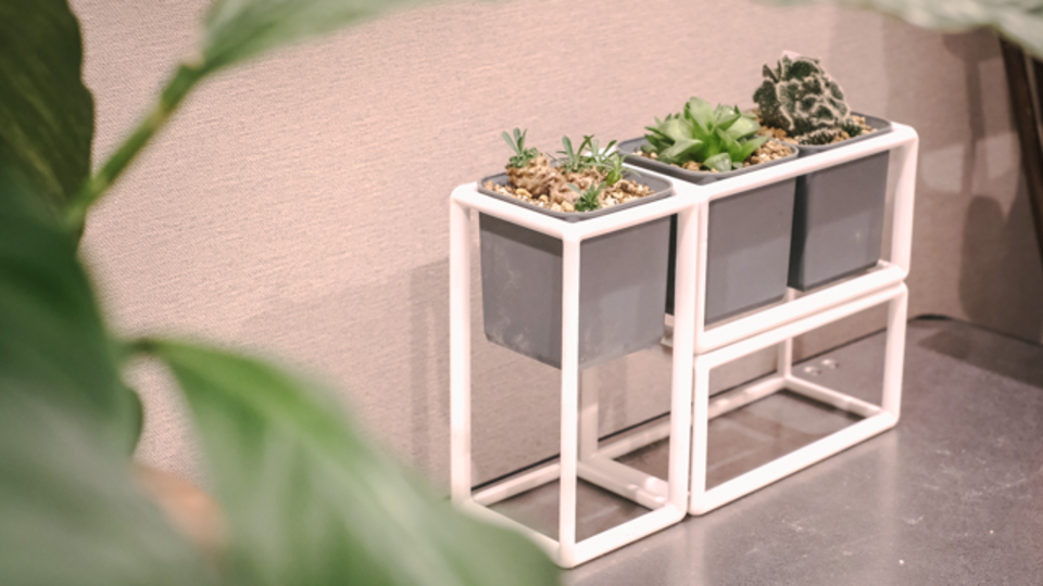 植物のある暮らしっていいね。レイアウト自由なマグネットプランター「Plant1UP」を使ってみた