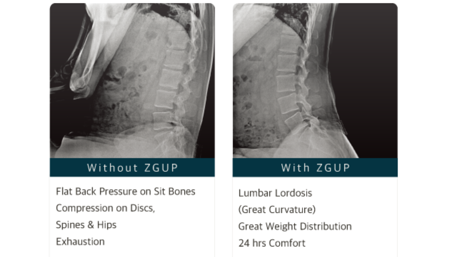 無重力にいるときの背骨が起きた状態に。体の負担を軽減するクッション