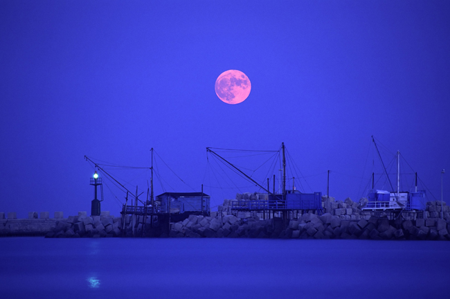 20130224biyou_1.jpg