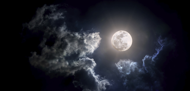 ムズムズっときたら 花粉症予防の1本 ゴボウミスト の作り方 Mylohas