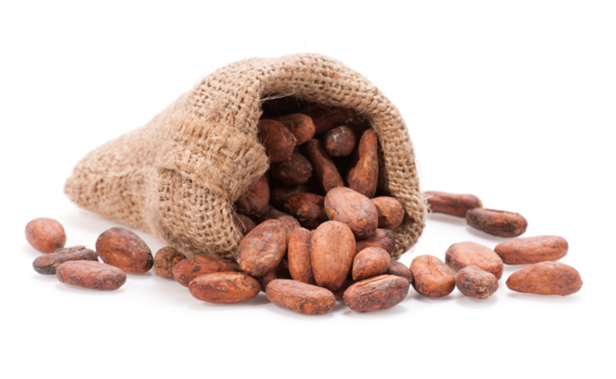 日本酒とカカオのダブル効果 神様に由来する縁起の良いお酒 Mylohas