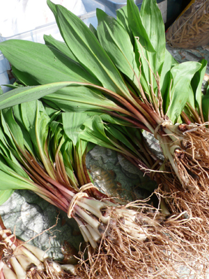 20130424ota_1.jpg