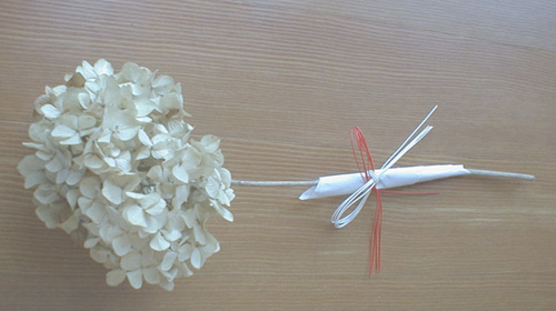 20130531ajisai_2.jpg