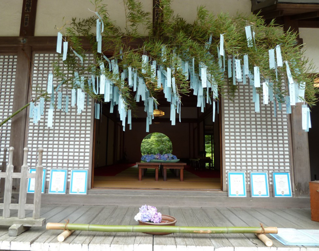 20130703tuki_11.jpg