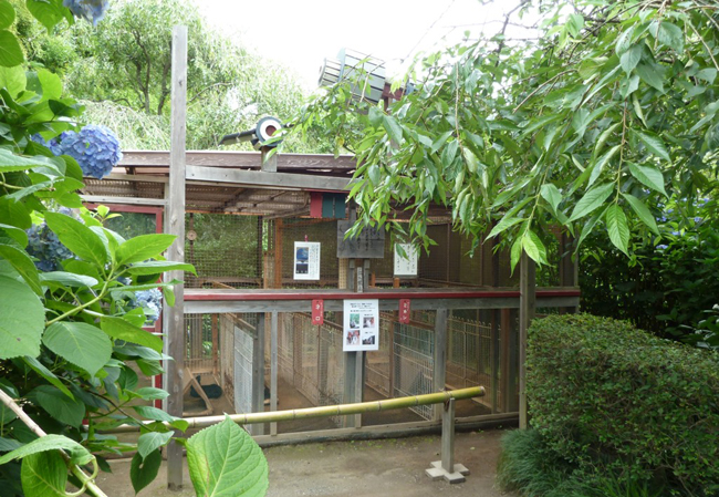 20130703tuki_6.jpg