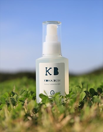 普段使いもできる オシャレな虫除けグッズ3選 Mylohas