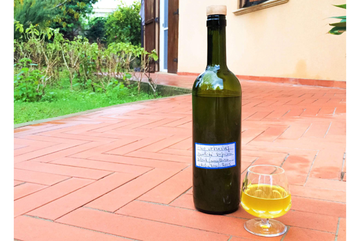 160120otalian_oil.jpg