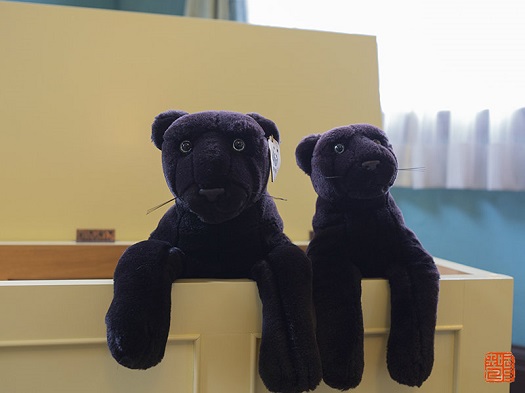 20160404_black_02.jpg