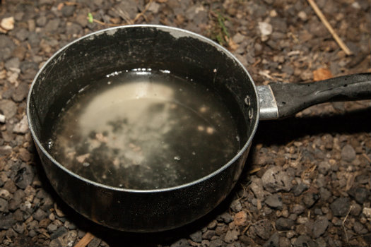 20160526_coconutoil4_7.jpg