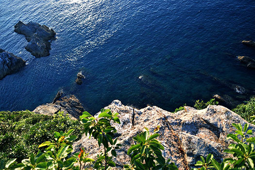 20160825_amakusa3.jpg