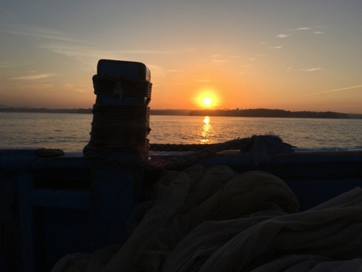 待ってました と陽にあたる 逗子猫日記 Mylohas