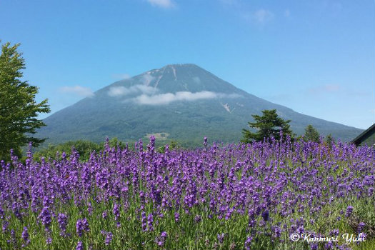 20160907_yotei6.jpg