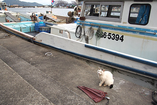 20170209_okinosima13.jpg